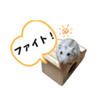 こめすたぴのすたすたすたんぷ（個別スタンプ：28）