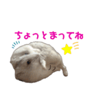 こめすたぴのすたすたすたんぷ（個別スタンプ：32）