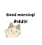 【毎日】ゆるねこ英日スタンプ（個別スタンプ：1）