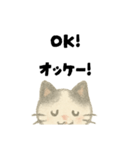 【毎日】ゆるねこ英日スタンプ（個別スタンプ：6）