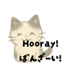 【毎日】ゆるねこ英日スタンプ（個別スタンプ：9）