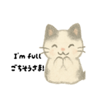 【毎日】ゆるねこ英日スタンプ（個別スタンプ：10）