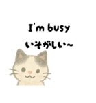 【毎日】ゆるねこ英日スタンプ（個別スタンプ：11）