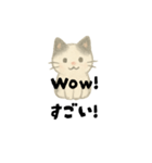 【毎日】ゆるねこ英日スタンプ（個別スタンプ：13）