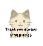 【毎日】ゆるねこ英日スタンプ（個別スタンプ：14）