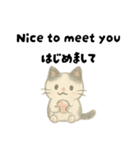 【毎日】ゆるねこ英日スタンプ（個別スタンプ：16）