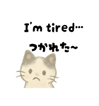 【毎日】ゆるねこ英日スタンプ（個別スタンプ：17）