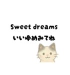 【毎日】ゆるねこ英日スタンプ（個別スタンプ：18）