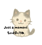 【毎日】ゆるねこ英日スタンプ（個別スタンプ：19）