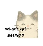 【毎日】ゆるねこ英日スタンプ（個別スタンプ：20）