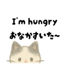 【毎日】ゆるねこ英日スタンプ（個別スタンプ：22）