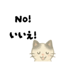 【毎日】ゆるねこ英日スタンプ（個別スタンプ：23）