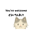 【毎日】ゆるねこ英日スタンプ（個別スタンプ：24）