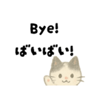 【毎日】ゆるねこ英日スタンプ（個別スタンプ：25）