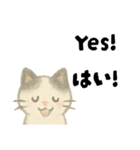 【毎日】ゆるねこ英日スタンプ（個別スタンプ：29）