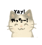 【毎日】ゆるねこ英日スタンプ（個別スタンプ：30）