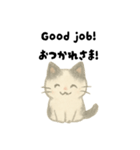 【毎日】ゆるねこ英日スタンプ（個別スタンプ：31）