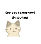 【毎日】ゆるねこ英日スタンプ（個別スタンプ：34）