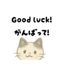 【毎日】ゆるねこ英日スタンプ（個別スタンプ：35）