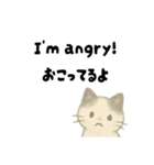 【毎日】ゆるねこ英日スタンプ（個別スタンプ：36）