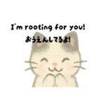 【毎日】ゆるねこ英日スタンプ（個別スタンプ：40）