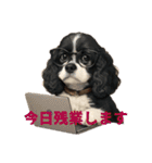 我が家の癒しアメコカのチョコ＆リント2（個別スタンプ：10）