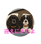 我が家の癒しアメコカのチョコ＆リント2（個別スタンプ：12）