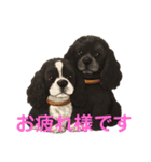我が家の癒しアメコカのチョコ＆リント2（個別スタンプ：13）