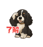我が家の癒しアメコカのチョコ＆リント2（個別スタンプ：14）