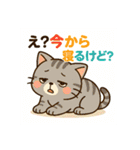 猫トラとハムちびの日常スタンプ（個別スタンプ：37）