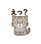 猫トラとハムちびの日常スタンプ（個別スタンプ：38）