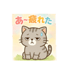 猫トラとハムちびの日常スタンプ（個別スタンプ：40）