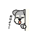 ふわもじゃシュナの日常スタンプ（個別スタンプ：15）