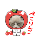 毎日使える【ラグドール】ねこスタンプ1（個別スタンプ：2）