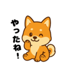 柴犬むぎの感情スタンプ（個別スタンプ：1）