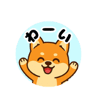 柴犬むぎの感情スタンプ（個別スタンプ：2）