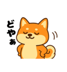 柴犬むぎの感情スタンプ（個別スタンプ：3）