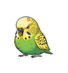 セキセイインコのキュートな日常（個別スタンプ：1）