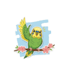 セキセイインコのキュートな日常（個別スタンプ：5）