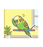セキセイインコのキュートな日常（個別スタンプ：6）