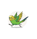 セキセイインコのキュートな日常（個別スタンプ：10）