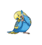 セキセイインコのキュートな日常（個別スタンプ：13）