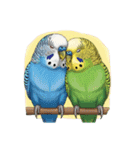 セキセイインコのキュートな日常（個別スタンプ：22）