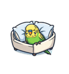 セキセイインコのキュートな日常（個別スタンプ：24）