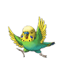 セキセイインコのキュートな日常（個別スタンプ：26）