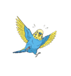 セキセイインコのキュートな日常（個別スタンプ：28）