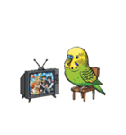 セキセイインコのキュートな日常（個別スタンプ：31）