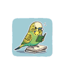 セキセイインコのキュートな日常（個別スタンプ：36）