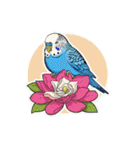 セキセイインコのキュートな日常（個別スタンプ：40）