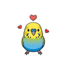 セキセイインコの楽しい1日（個別スタンプ：1）